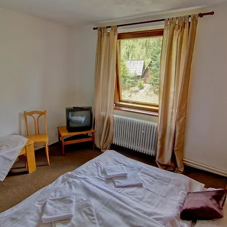 Karpatia 게스트하우스 2*