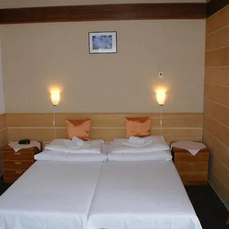 Pensionat Karpatia 2*